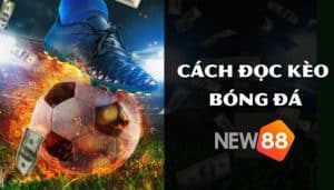 Cách đọc kèo bóng đá dễ hiểu nhất cho người mới bắt đầu 2 cách đọc kèo bóng đá