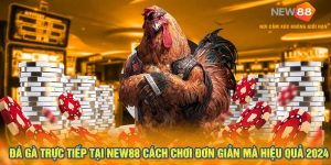 Đá Gà Trực Tiếp Tại New88 Cách Chơi Đơn Giản Mà Hiệu Quả 2024 1 Đá Gà Trực Tiếp Tại New88 Cách Chơi Đơn Giản Mà Hiệu Quả 2024
