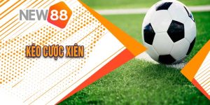 Hướng Dẫn Chi Tiết Về Kèo Cược Xiên Trong Cá Cược Online 15 Hướng Dẫn Chi Tiết Về Kèo Cược Xiên Trong Cá Cược Online