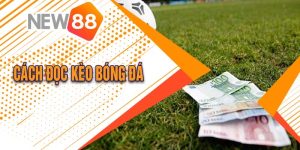 Cách Đọc Kèo Bóng Đá Tại New 88 Hướng Dẫn Từ A Đến Z 9 Cách Đọc Kèo Bóng Đá Tại New 88 Hướng Dẫn Từ A Đến Z