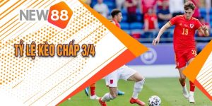 Tỷ Lệ Kèo chấp 3/4 Là Gì? Hướng Dẫn Cách Chơi Chiến Thắng 2 Tỷ Lệ Kèo chấp 3/4 Là Gì? Hướng Dẫn Cách Chơi Chiến Thắng