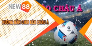 Hướng Dẫn Chơi Kèo Châu Á Tại New88 Cực Đơn Giản 1 Hướng Dẫn Chơi Kèo Châu Á Tại New88 Cực Đơn Giản