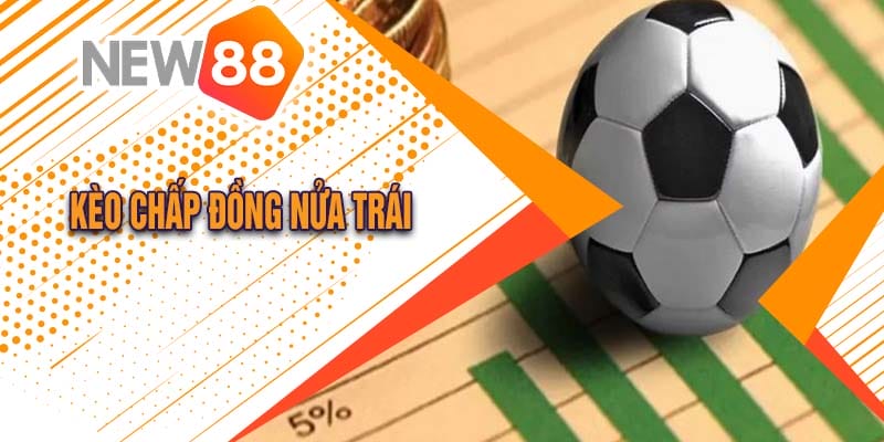 Kèo Chấp Đồng Nửa Trái Là Gì? Hướng Dẫn Cách Chơi Đơn Giản Tại Neu88 1 Kèo đồng nửa là gì