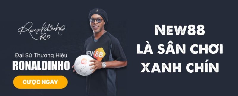 New88 là sân chơi xanh chín